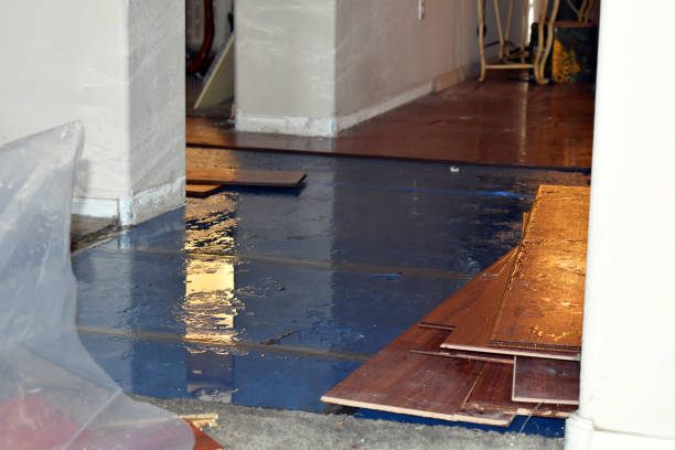 Professional Flood Cleanup technician working in Reston, VA